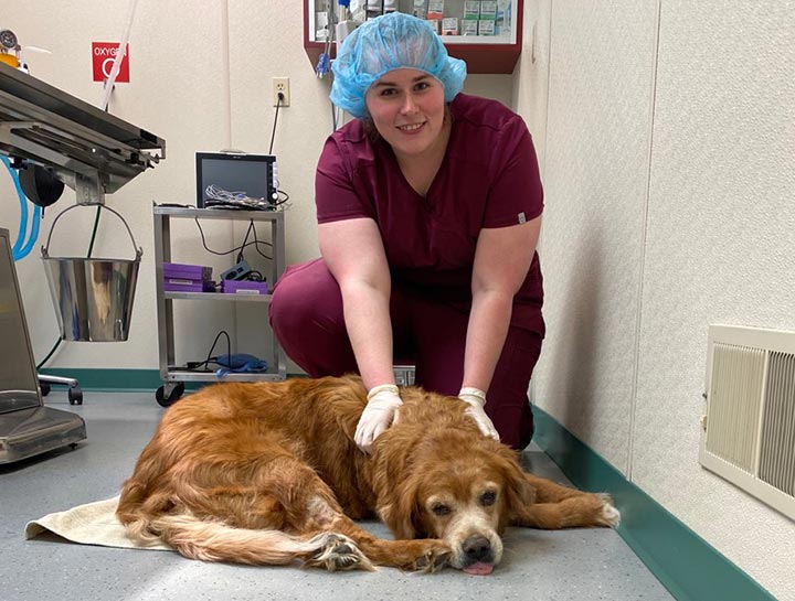 Advanced Soft Tissue Surgery